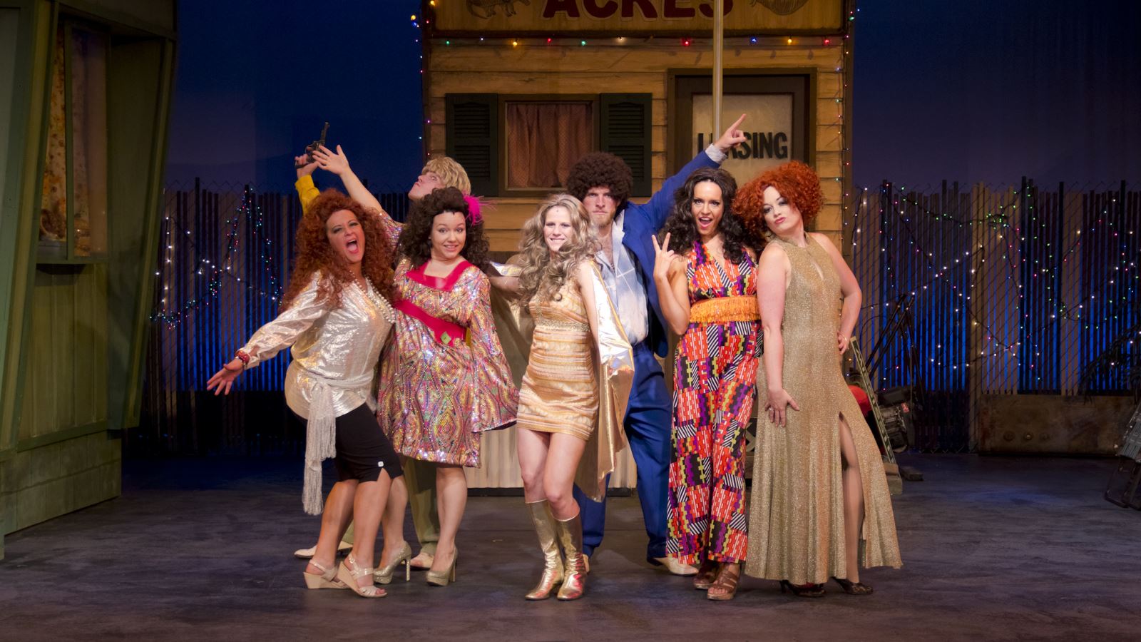 County Center Asheville Community Theatre Costume Sale